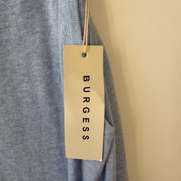 NWT Burgess The Daisy Sky Blue Dress - Picture 5 of 14